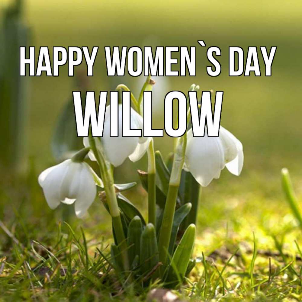 Greetings card с именем, Willow happy women`s day ранние цветы 2 Greetings with text for free download 